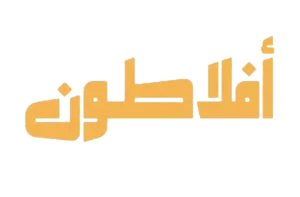 شريك 17